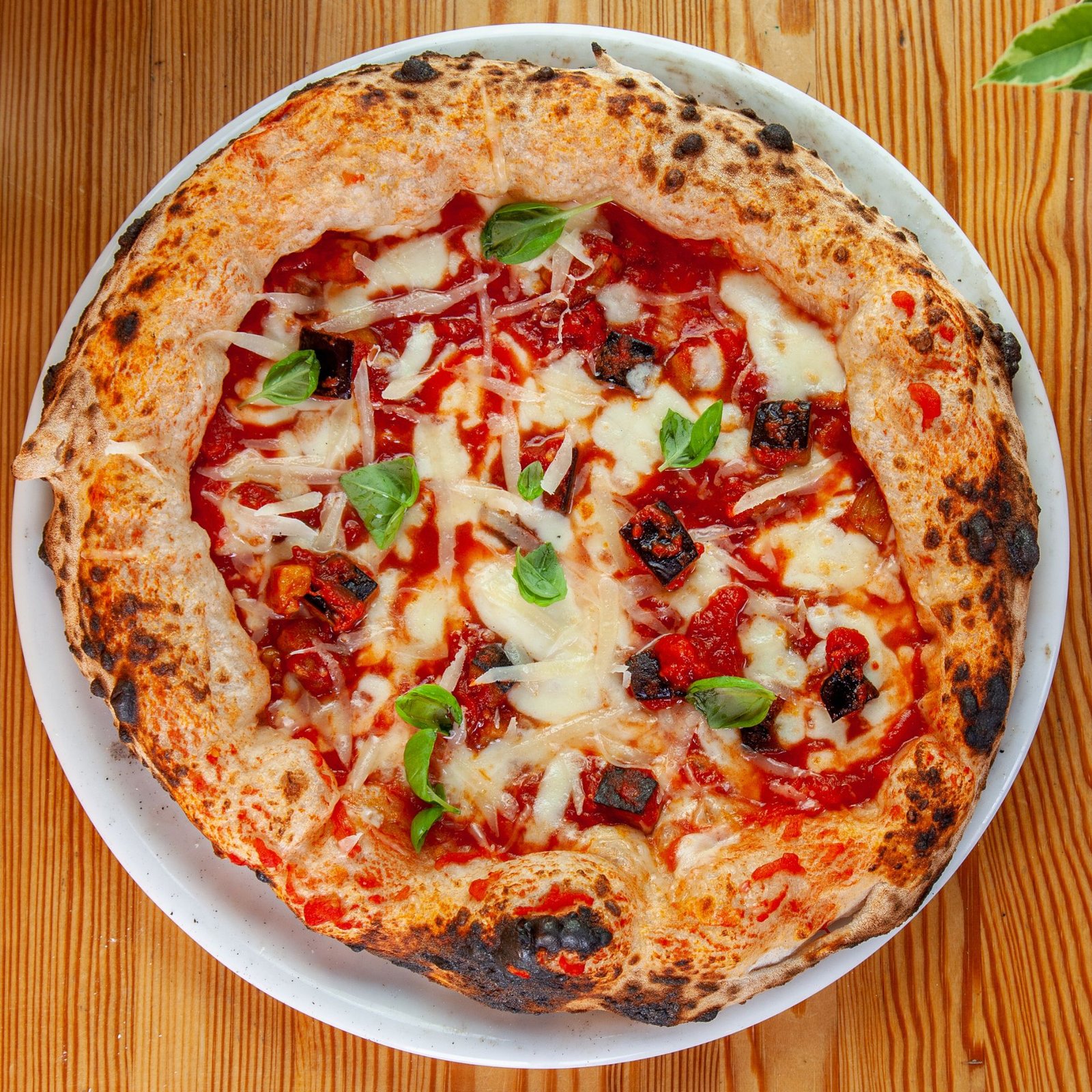 Neapolitan Style Pizza – Animal Protein Collection